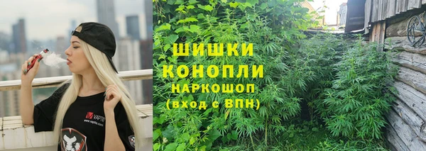a pvp Богданович