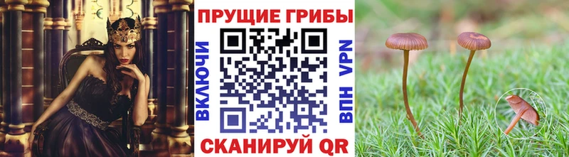 Псилоцибиновые грибы прущие грибы  Наро-Фоминск 
