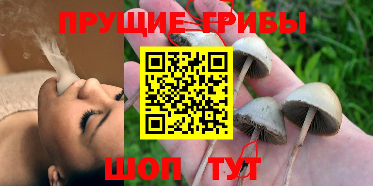 Наро-Фоминск  Псилоцибиновые грибы Cubensis  Вход с VPN  как найти закладки  Псилоцибиновые грибы прущие грибы 
